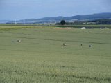 WEA Portenhagen-Luethorst 2014-06-15 - 23  Anbau Rotor